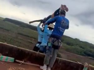 Sobre a mulher jogada da ponte