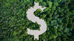 Why Climate Finance Is Measuring the Wrong Thing