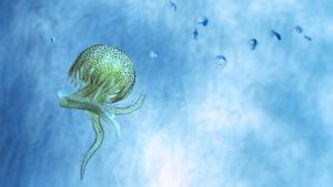 Dal cibo alla sostenibilità: il valore strategico del mare che spesso viene dimenticato