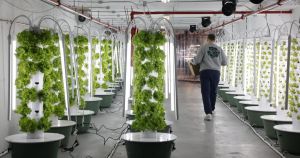 Ottawa’s food plan has promise, but it lacks a clear vision for competitiveness