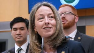 Beth Davidson Is Democrats' best pick for NY-17Howard Lasner