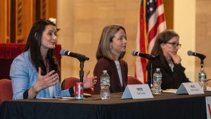 Beth Davidson is Democrat's wisest choice in NY-17 primary electionJohn Sullivan and Peter Chatzky