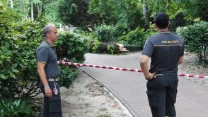Crolla il ramo di un albero e colpisce un uomo: paura al Giardino pubblico di Trieste