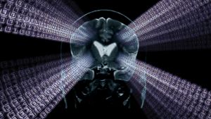 The human brain is not a machine