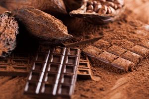 El Cacao Venezolano ante su Ley mÃ¡s crÃ­tica, por Omar Ãvila