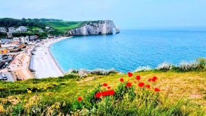 Normandia tra arte, scogliere e storia: viaggio green nel nord della Francia