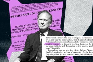 Has an Idaho Doctor Discovered a Loophole in Dobbs?