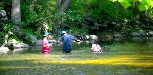 Microplastics are everywhere in Pennsylvania’s water – but the tide may be turning