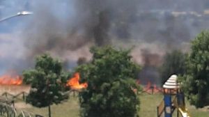Vasto incendio in un campo, evacuate alcune abitazioni. La sindaca di Osimo: “Non venite qui”