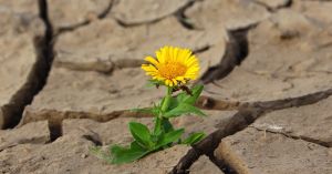What if Your Success Is a Response to Childhood Pain?