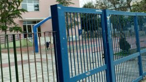 Σοκ στη Νέα Σμύρνη: 13χρονος μαθητής μαχαιρώθηκε έξω από δημοτικό σχολείο [βίντεο]