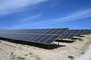 Las claves: el órdago español a las energías renovables ya da frutos claros