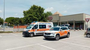 Bosco Mesola, malore dopo la puntura di un’ape: salvata dai medici e dal figlio