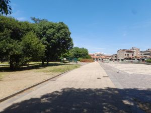 Emergenza rapine al Parterre di Livorno, si muove il prefetto: «Lo Stato reagirà con forza»