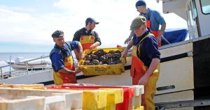 Court battle as fishermen find legal letters from wind farm firm tied to their boats