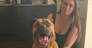 Plus-size dog finally finds forever home... after 678 days in shelter
