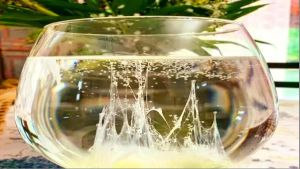 La Barca di San Giovanni che ‘vede’ nel futuro. I riti della tradizione popolare oltre all’acqua fiorita