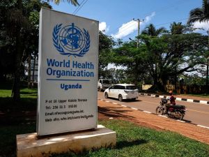 Bjorn Lomborg: The WHO’s climate prescription is bad medicine