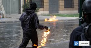 Registro de vándalos: no puede dar lo mismo destruir que cuidar