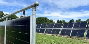 ‘Agrivoltaics’ can both power AI data centres and increase food production — new study