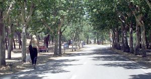 Murió el extravío