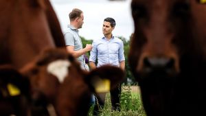 Confrontatie met de boeren lijkt niet te vermijden, maar houdt het kabinet dit keer wel voet bij stuk?