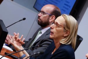 Parches para remediar la falta de Presupuestos