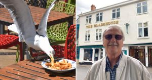 Gulls grappling food from customers forces pub to stop refunding stolen food