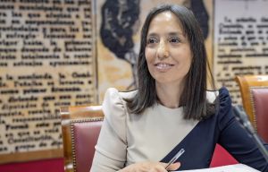 Un webinar para el PSOE