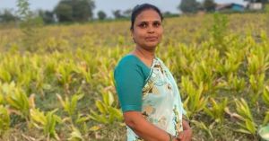 This Madhya Pradesh Farmer Earned Rs 12 Lakh From Turmeric; Here’s How You Can Grow It in Your Garden