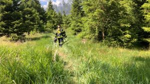 Der Wald brennt bei Hubertshofen: Polizei-Hubschrauber entdeckt Rauchsäule rein zufällig