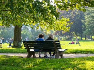 Remettre des bancs publics, quelle bonne idée !