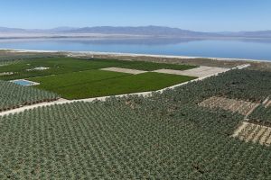 California county halts data center boom after huge backlash