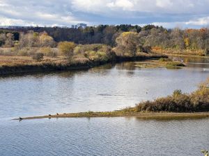 Breathing new life into Grand River