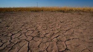 El Niño minaccia un’inflazione trainata dalle materie prime