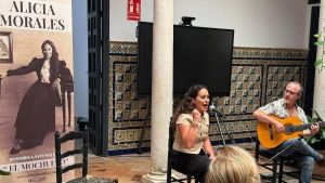Veto a la iniciativa flamenca independiente
