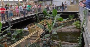 Zoo owner's wife ‘leapt into crocodile enclosure’ to save child thrown in by stranger