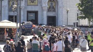 I studenti i vernici ponašaju se slično