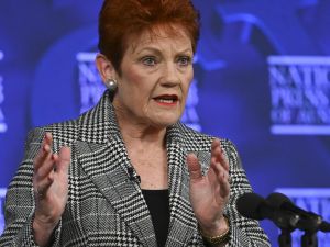 Media sneers as Pauline talks to the majority