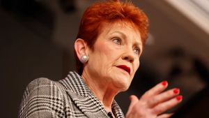 Pauline Hanson demands the same scrutiny as other party leaders