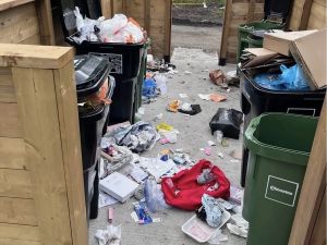 Lorne Gunter: Council blindly bulls ahead with undemocratic infill policy It is undemocratic when a few dozen councillors, bureaucrats and developers can dictate to the rest of us what our city should look like