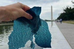I Went to Trump’s New Reflecting Pool. I Found Something Floating. Then I Drowned in Metaphors.