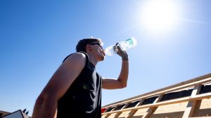 Extreme Hitze im Süden und Westen – 38,5 Grad in Kitzingen