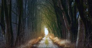 How to Locate Your Own Hero’s Journey Narrative