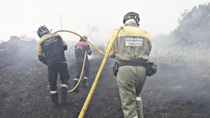Ante los incendios agro-forestales