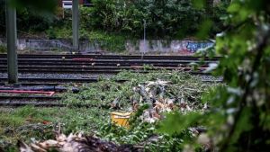 ProRail: storm zorgt voor veel problemen op het spoor