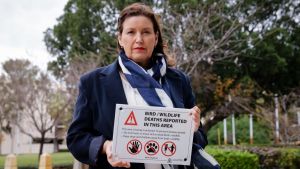 Gefährliche Vogelgrippe erstmals auf Australiens Festland