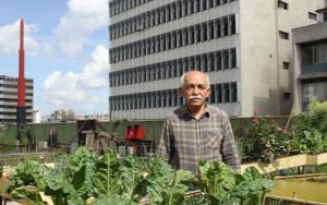 Comentarios noticiables | Prensa Latina, a sesenta años de su fundación