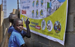 Hantavirus, Ebola… Comment les zoonoses sont devenues l’un des plus grands défis sanitaires du siècle