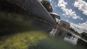 Verf laat los van Reflecting Pool, Trump geeft vandalen de schuld
